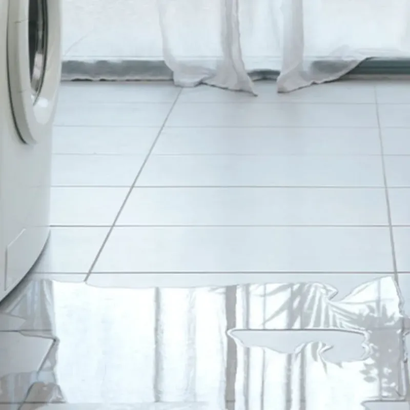 Appliance Leak Cleanup in Bourbonnais, IL