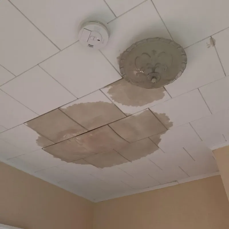 Ceiling Water Damage Repair in Bourbonnais, IL