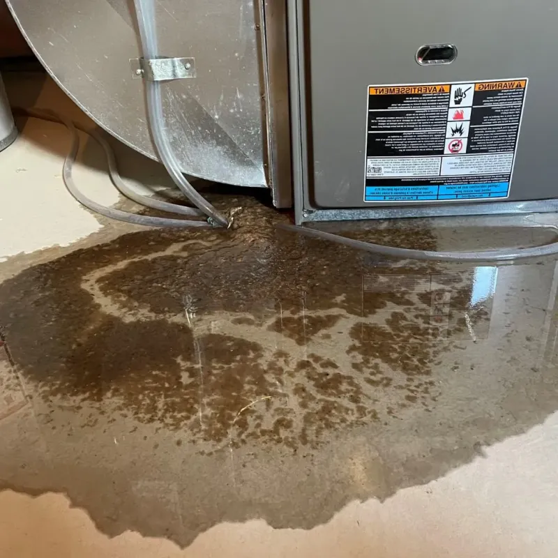 Pipe Burst and Leak Restoration in Bourbonnais, IL